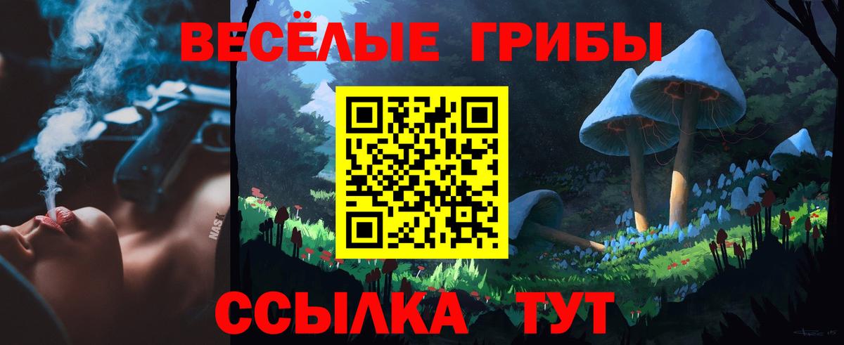 Галлюциногенные грибы MAGIC MUSHROOMS  Вход с VPN  Юрга 